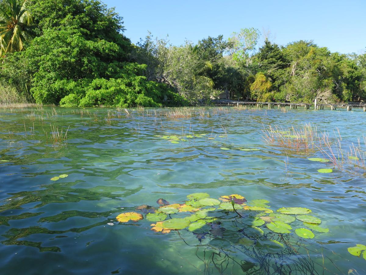Amigos Hotelito Bacalar Exteriör bild